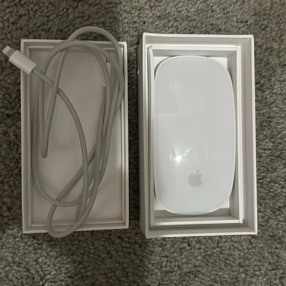 White Apple magic mouse